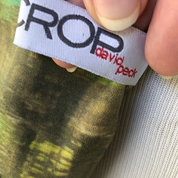 COPYâ-âTaylorâSwiftâDesigner!!!âCropâbyâDavid PeckâOrganicâCottonâDress - Picture 6 of 8